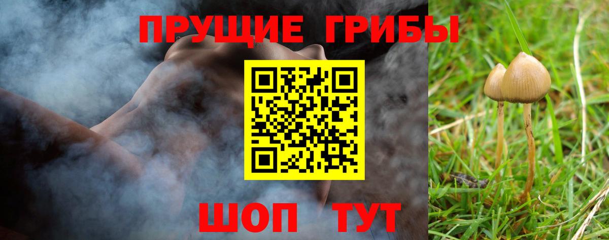 Галлюциногенные грибы GOLDEN TEACHER  Вход с VPN  Галлюциногенные грибы Psilocybine cubensis  Заводоуковск 