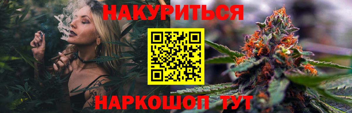 Конопля план Заводоуковск